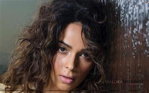 Bold Mallika Sherawat aka Reema Lamba wearing intense looks